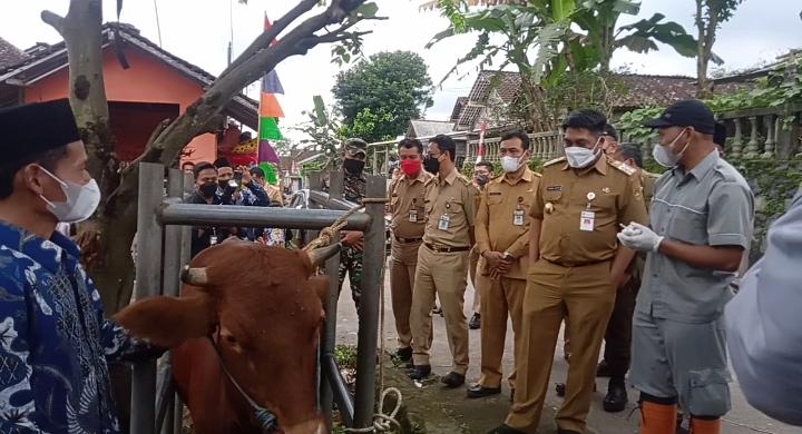 Bupati Magelang Zaenal Arifin Melihat Langsung Vaksinasi PMK Dosis 1 di Kecamatan Sawangan
